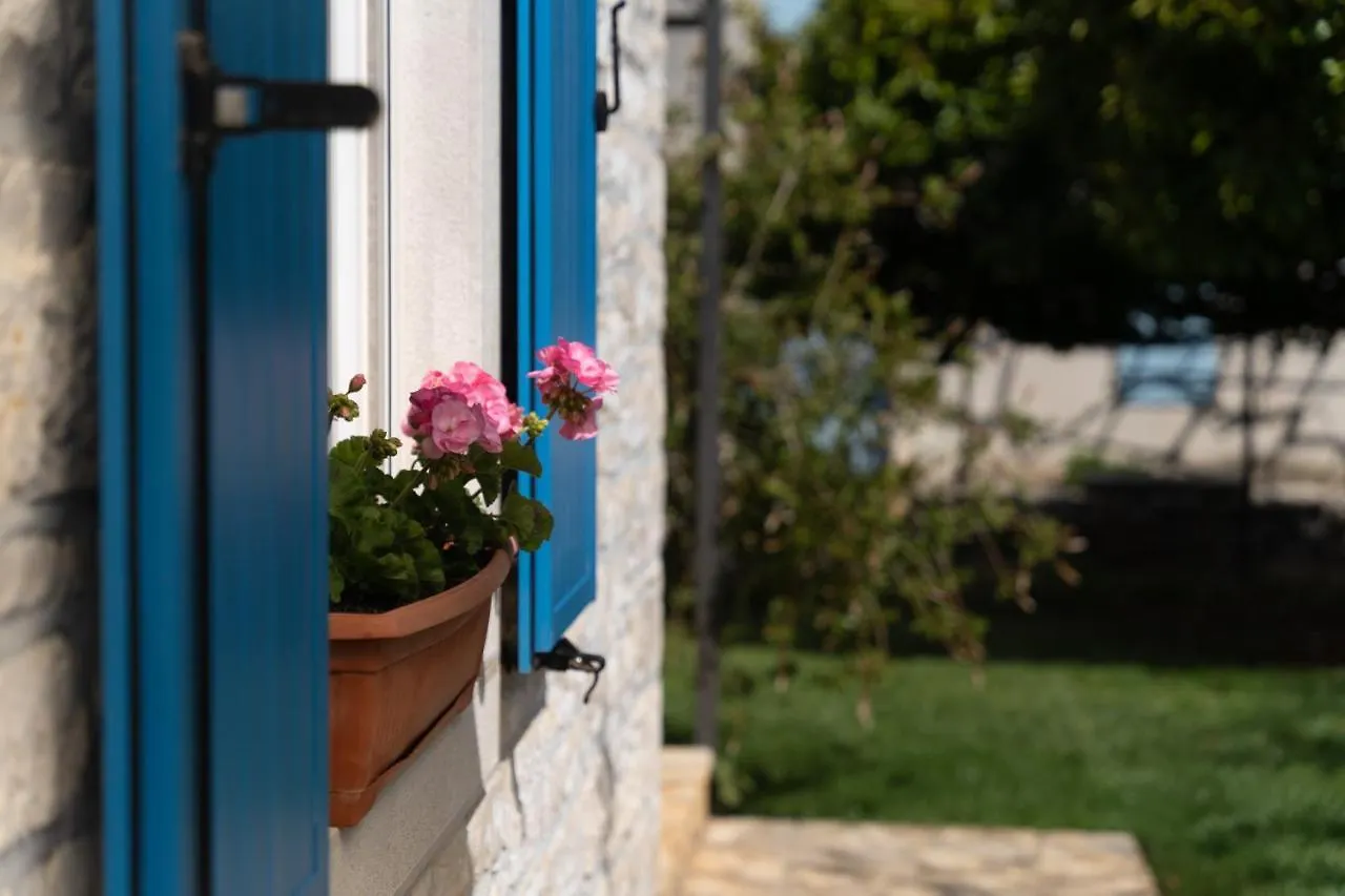 Villa Daulos Novigrad Istria Kroatien